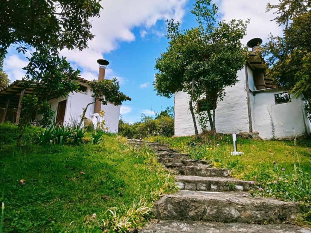 Jardin Colibri Rnt 33633 Villa Гуатавита Екстериор снимка